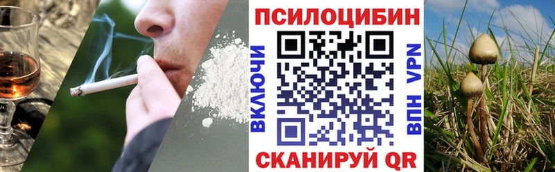 Купить  Невинномысск  Псилоцибиновые грибы MAGIC MUSHROOMS 
